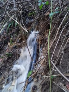 428509879_10161227983844304_3048977699269972163_n