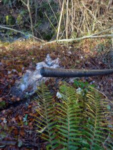 431097095_10161227984174304_3676410394472311155_n