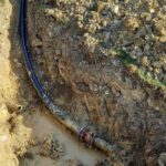 431116781_10161227993084304_6630583218404338154_n