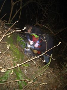 431493641_10161227983759304_2892458526301424078_n